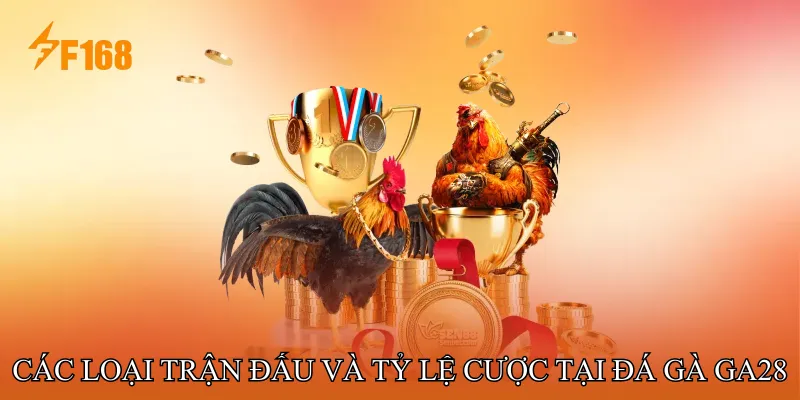 Các loại trận đấu và tỷ lệ cược tại Đá gà GA28 Các loại trận đấu và tỷ lệ cược tại Đá gà GA28